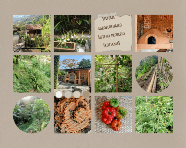 Recorrido en sistema agroecológico