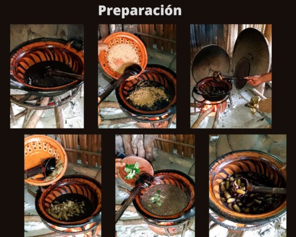 Recorrido, demostración y degustación de Xocoyol-Hemol - Image 3