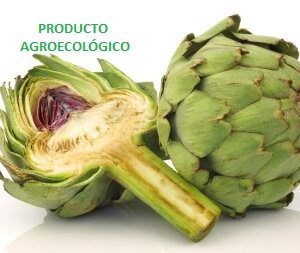 Alcachofa / pieza