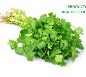 Cilantro arromerado / 100 gramos