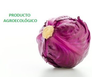 Coliflor Morada / pieza