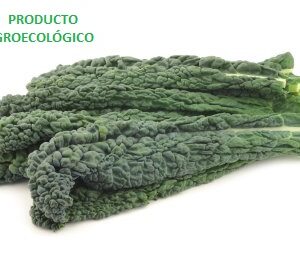 Kale Toscano / 250 gramos