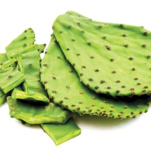 Nopal / 8 piezas