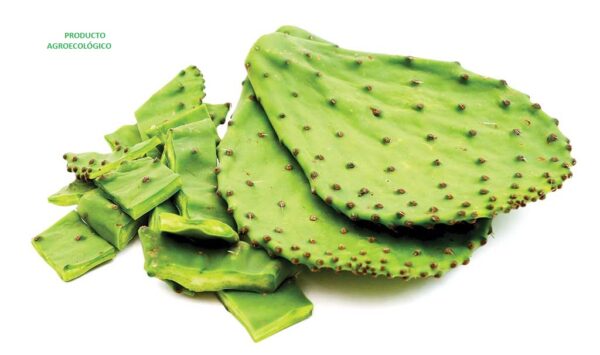 Nopal / 8 piezas