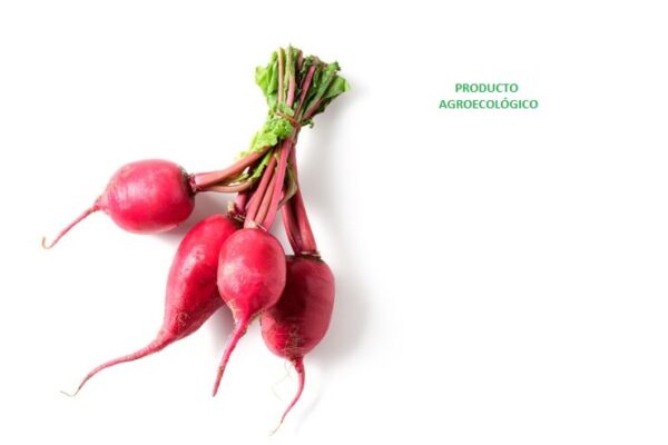 Rábano Rojo / 500 gramos