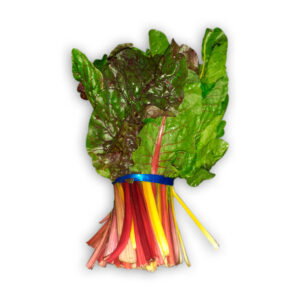 Acelga Arcoíris / Agroecológica / Manojo 300 gramos