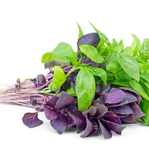 Albahaca verde y morada / Agroecológica / Manojo 100 gramos