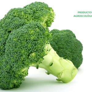 Brocoli / 1 kilo