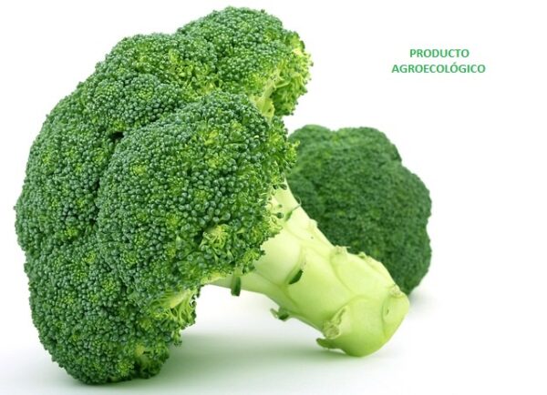 Brócoli / 1 kilogramo