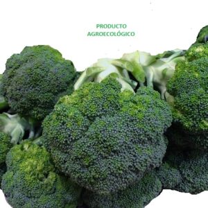Brocoli / 1 kilo