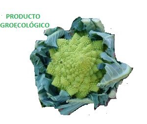 Brócoli romanesco / 1 kg