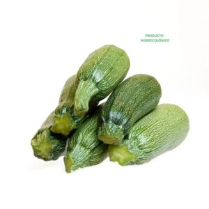 Calabaza italiana / 1 kilo