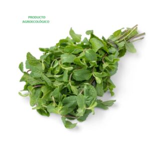 Hierbabuena / 100 gramos