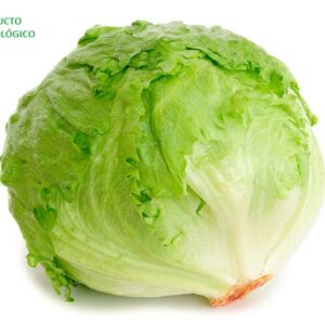 Lechuga romana / pieza