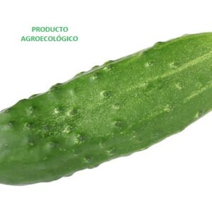Pepino / pieza