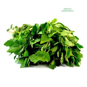 Quelite Malva / 100 gramos