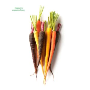 Zanahoria Baby Arcoiris / 700 gramos